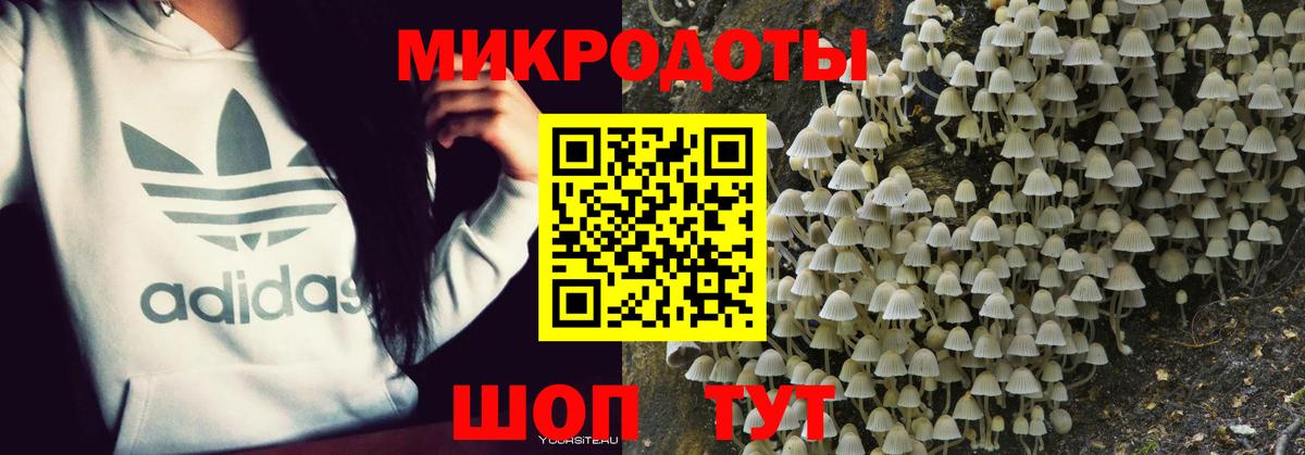Галлюциногенные грибы MAGIC MUSHROOMS  Вход с VPN  Гусев 