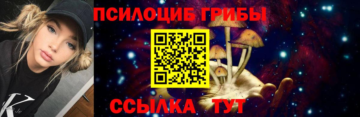 Псилоцибиновые грибы Psilocybe Гусев